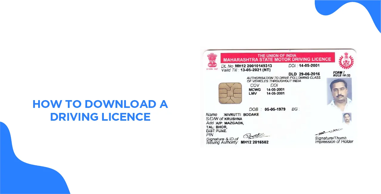 How to Download a Driving Licence? All You Need to Know