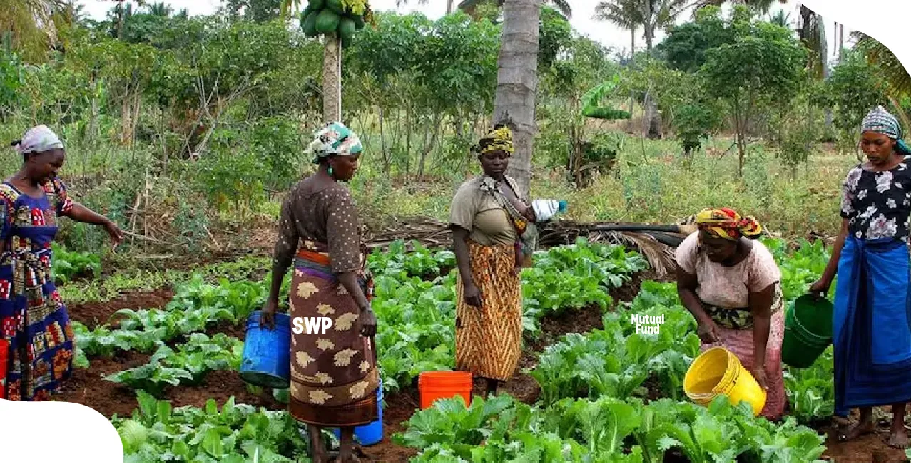 How War Destroys Civilian Jobs, Farms, and Small Businesses Beyond the Economic Stats?