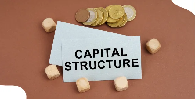 What is Capital Structure? Meaning, Types & Importance