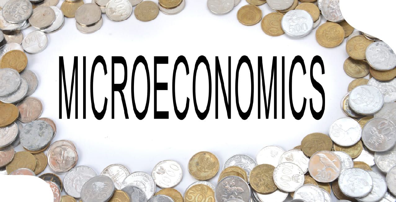 What Is Microeconomics – Basics Of Individual Economic Behaviour