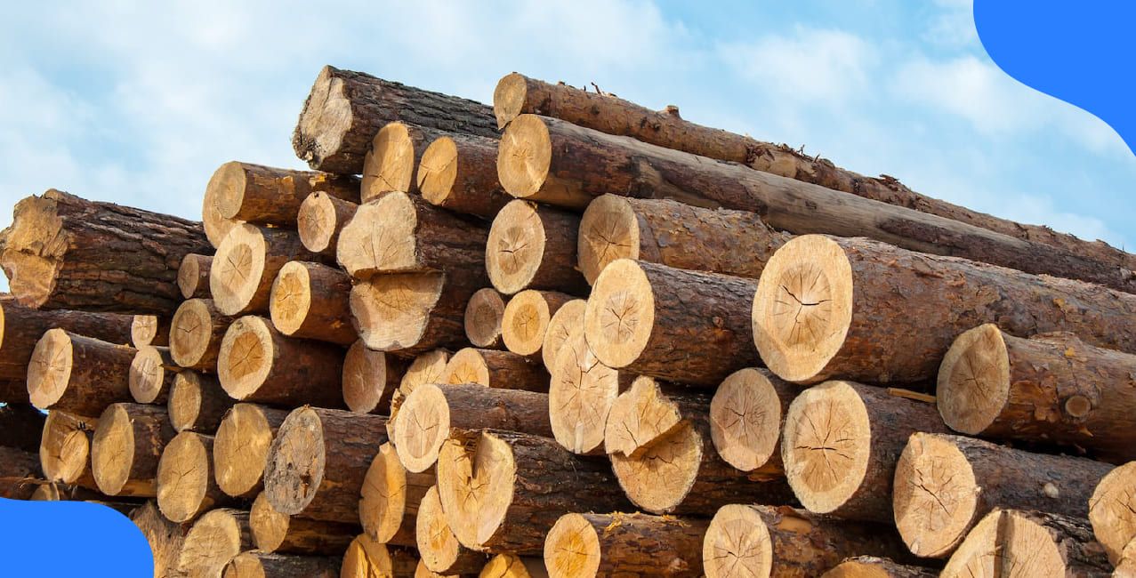 GST on Wood – Updated Tax Rates & HSN Code Guide