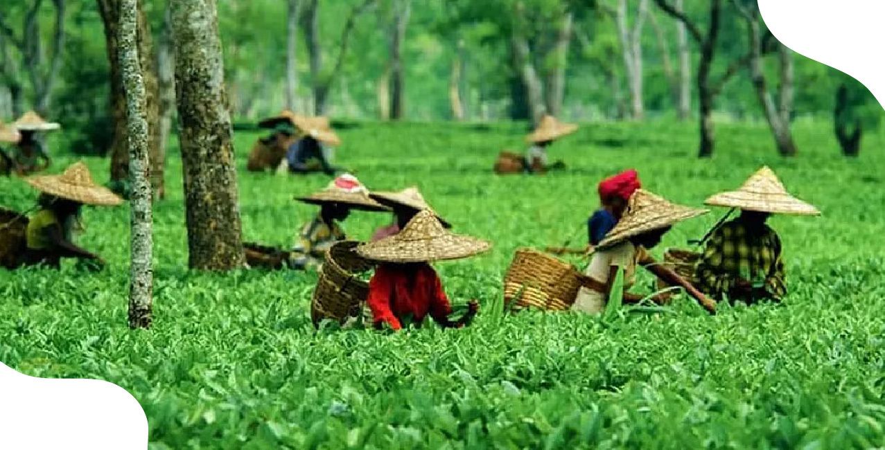 Government of India, ADB sign $125 million loan to boost urban livability and climate resilience in Assam