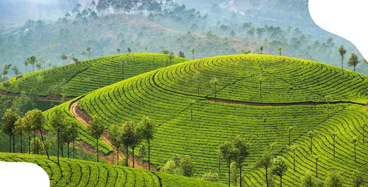 Kerala’s New Home Protection Law: Will It Stop Banks From Taking Family Houses?