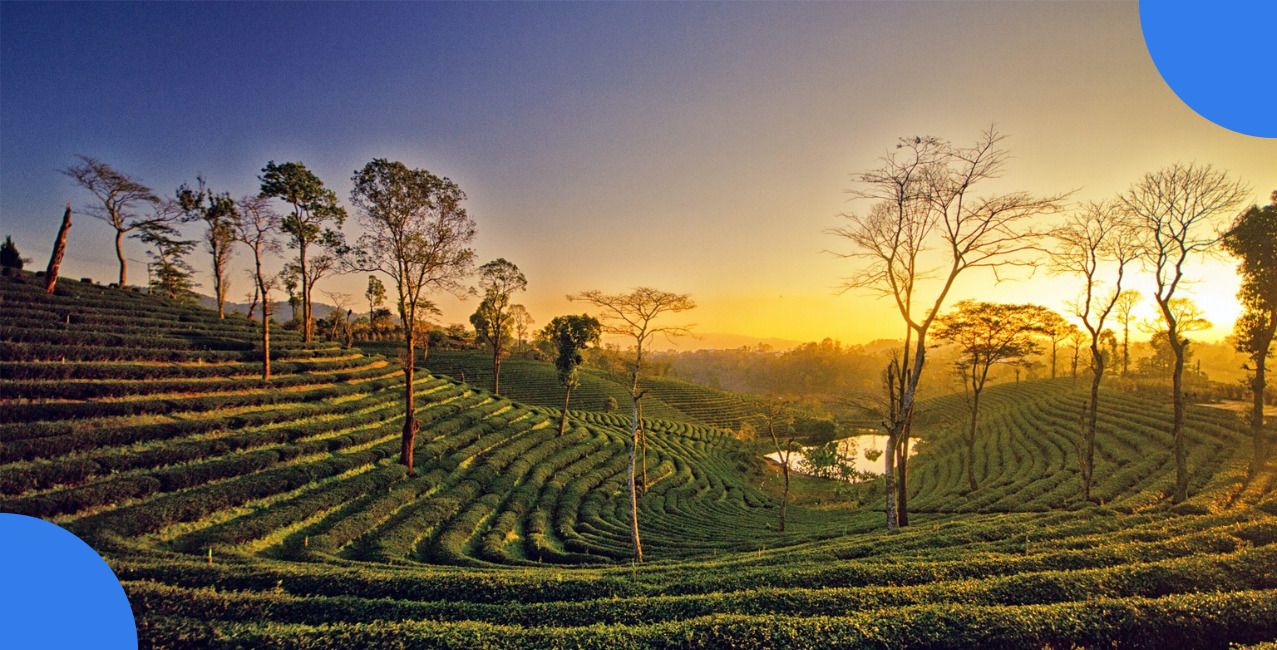 Business Ideas in Assam: Best Profitable Opportunities to Start