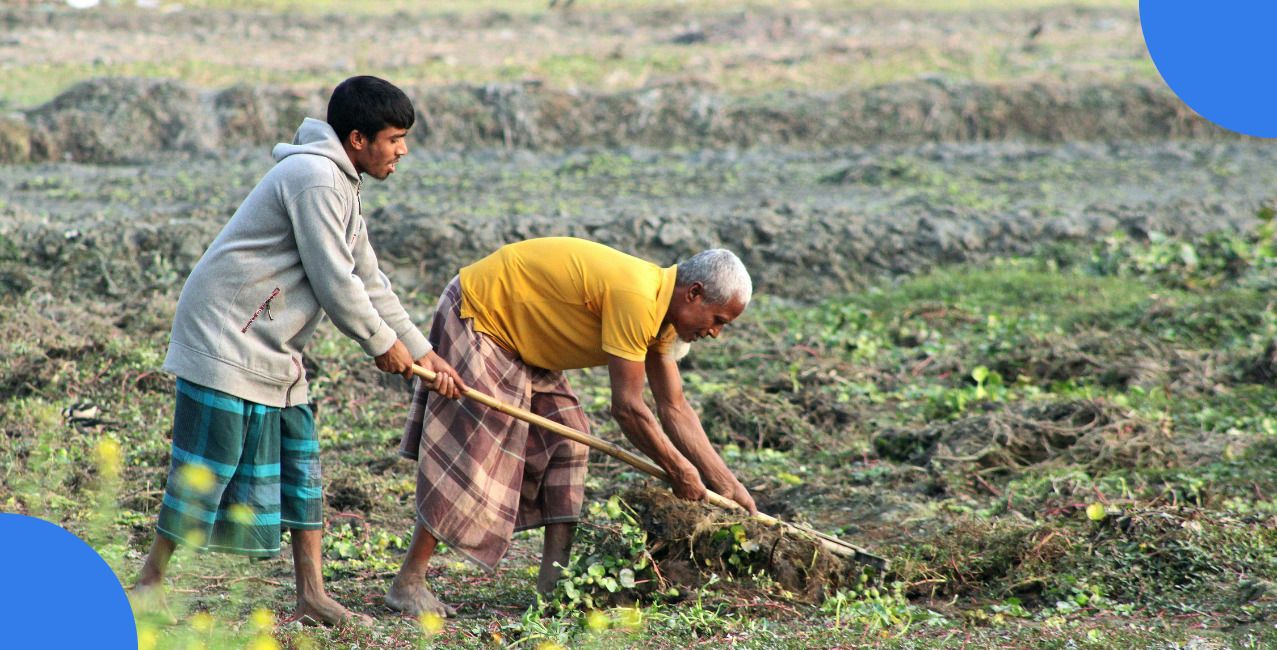 Agriculture Business Ideas: Complete Guide to Profitable Options