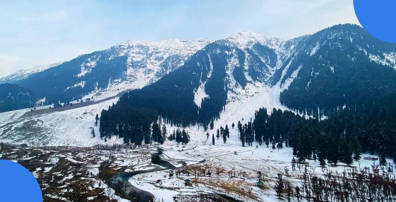 Business Ideas in Kashmir: Best Profitable Opportunities to Start