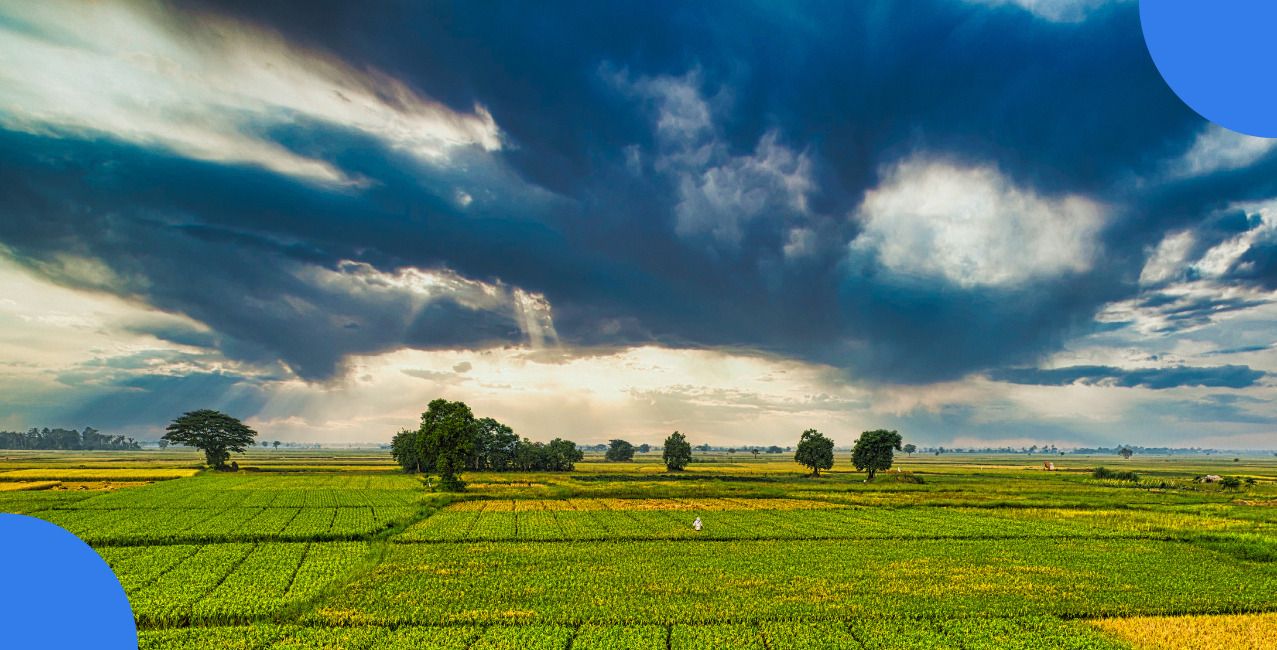 Agricultural Income Tax: Rules, Exemptions and Tax Calculation Explained