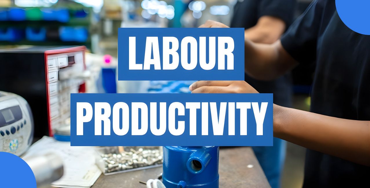 Labour Productivity in India: How to Calculate Labour Productivity?