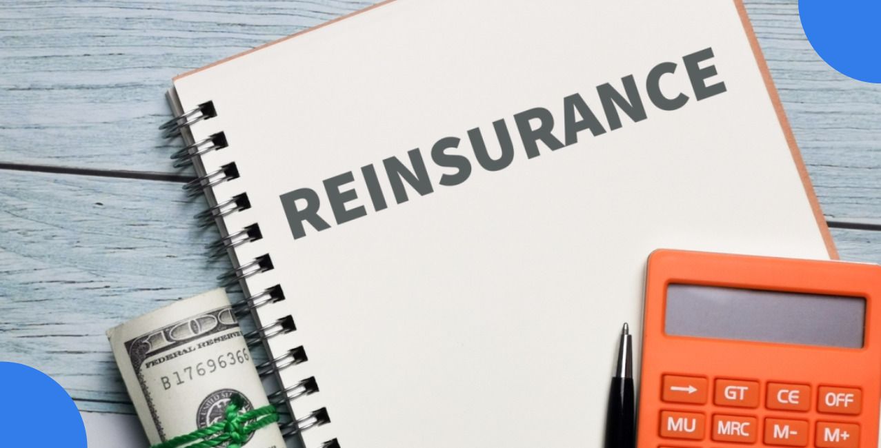 Reinsurance Credit: What is credit and surety insurance?