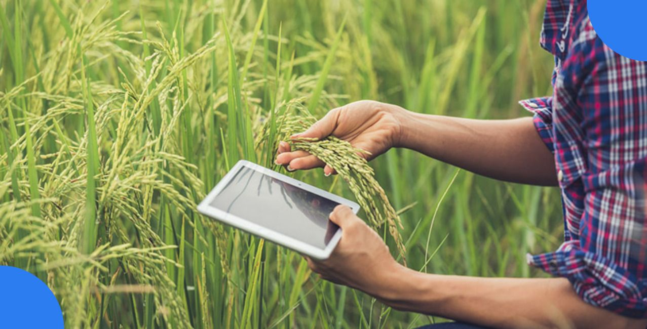 Crop Insurance: Meaning, Coverage, Benefits, and Claims