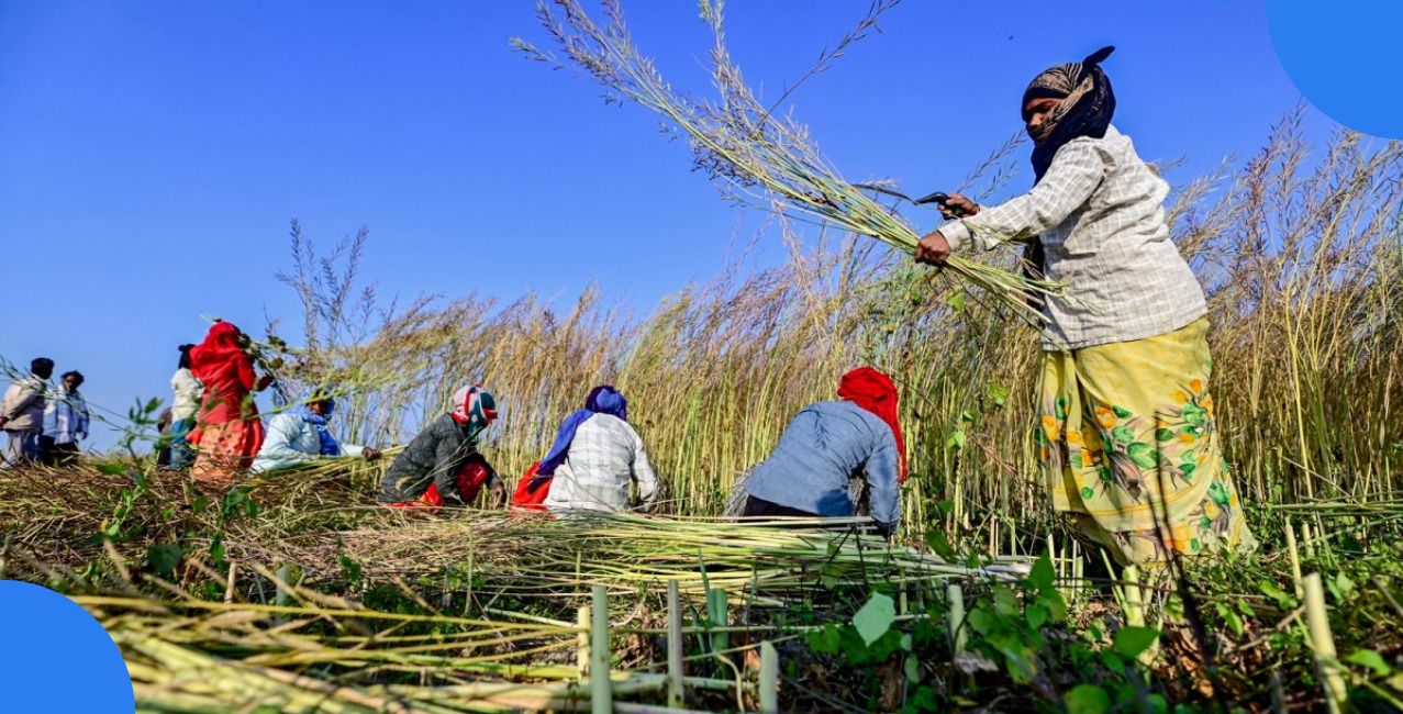 40 Lakh Maharashtra farmers are getting up to ₹2 Lakh Debt Relief, and here is how!