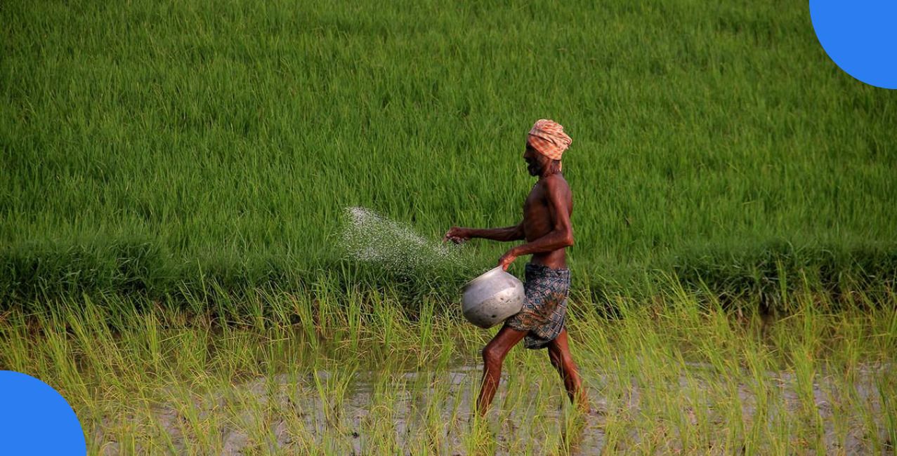 Andhra Pradesh Backs Farmers With Rs 1,800 Crore Paddy Procurement Loan
