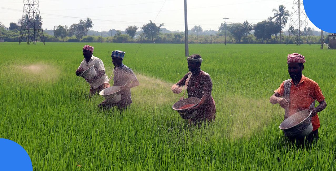 Punjab’s 53% Farm Loan Shock: Why Farmers May Wait Longer For Higher KCC Credit