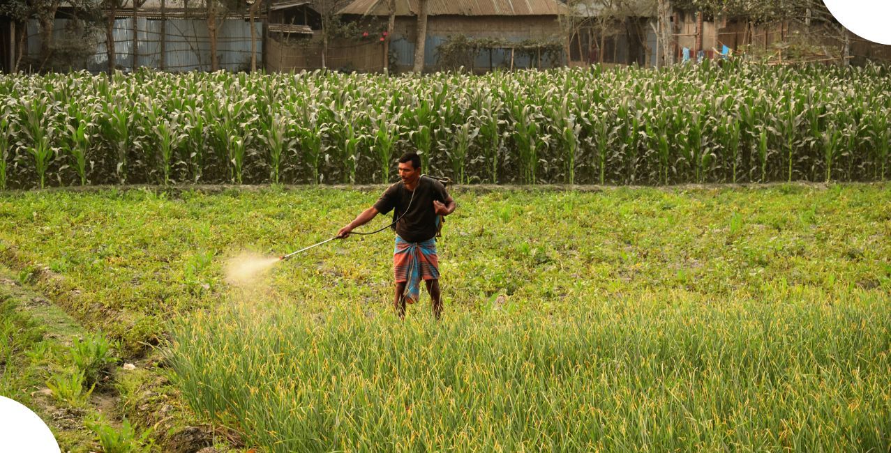 India’s Fertiliser Subsidy Burden May Reach Record Levels