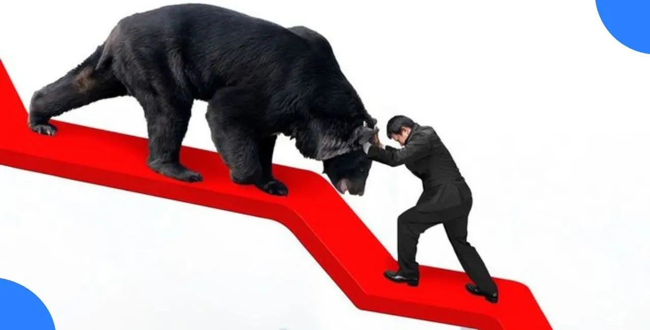 5 Key Ratios Indian Mutual Fund Investors Must Check Before Choosing a Fund
