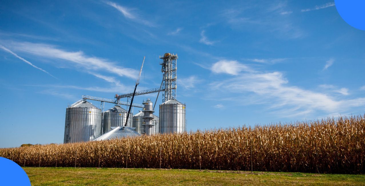 India’s Ethanol Push Reaches 20%, but Higher Blends Face a Cost-Per-Kilometre Test