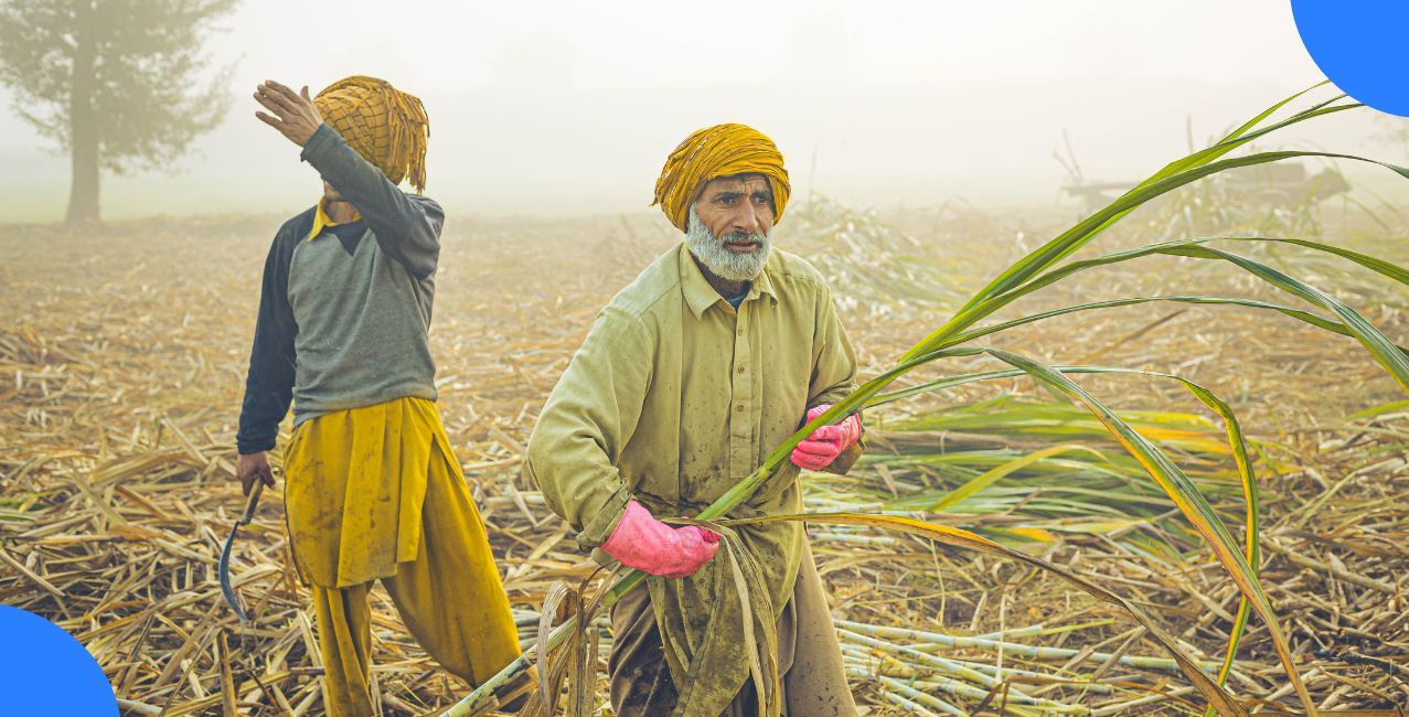 Tamil Nadu Farmers Stage Token Hunger Fast in Krishnagiri, Demand Full Crop Loan Waiver