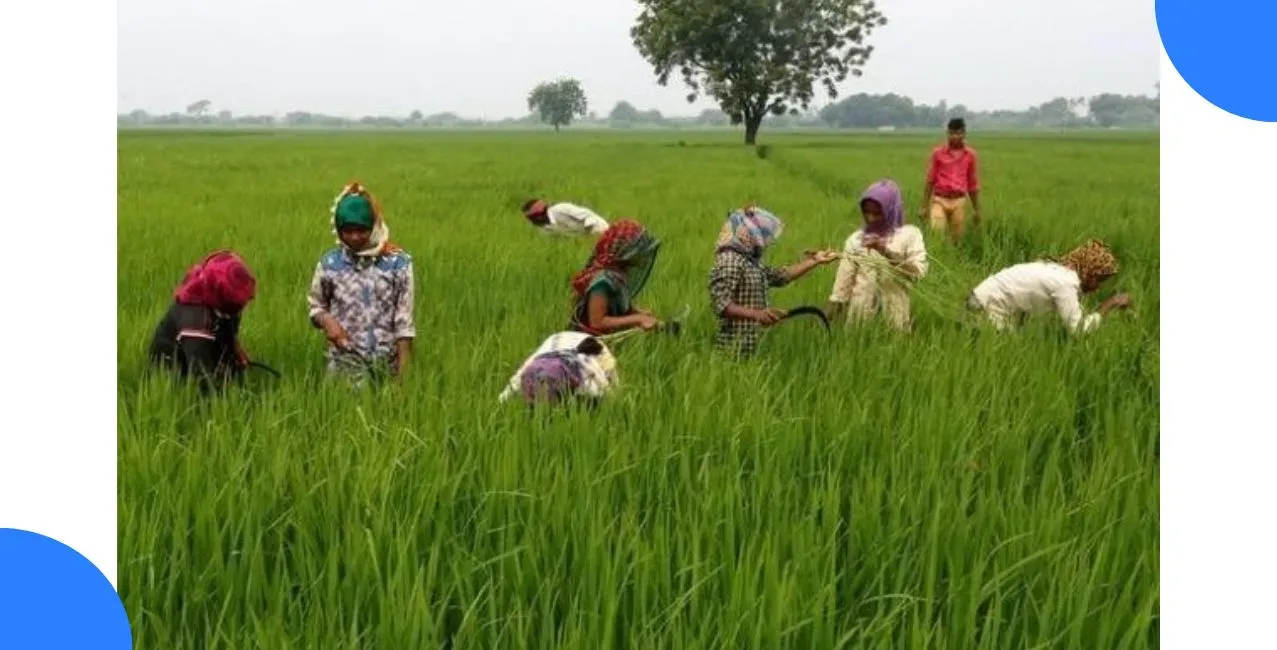 ICRA Flags Rural Repayment Stress as Monsoon Deficit Stays at 15%